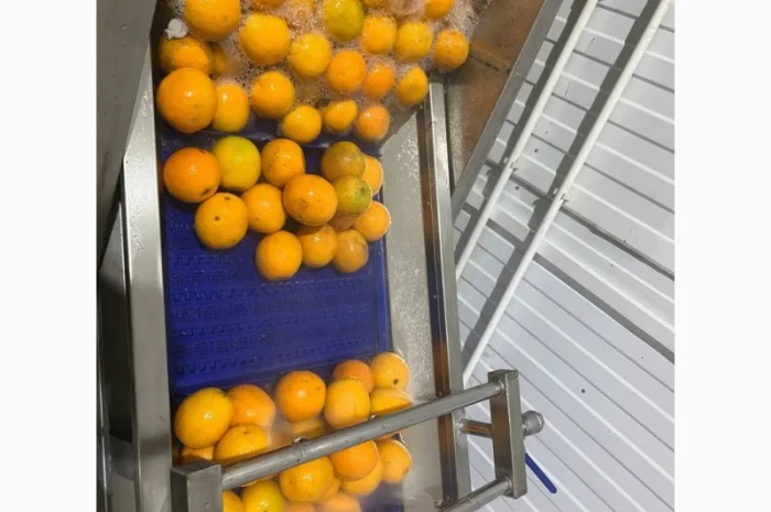 Барботажна ванна для делікатного миття продуктів STvega BW H2400- фото № 10