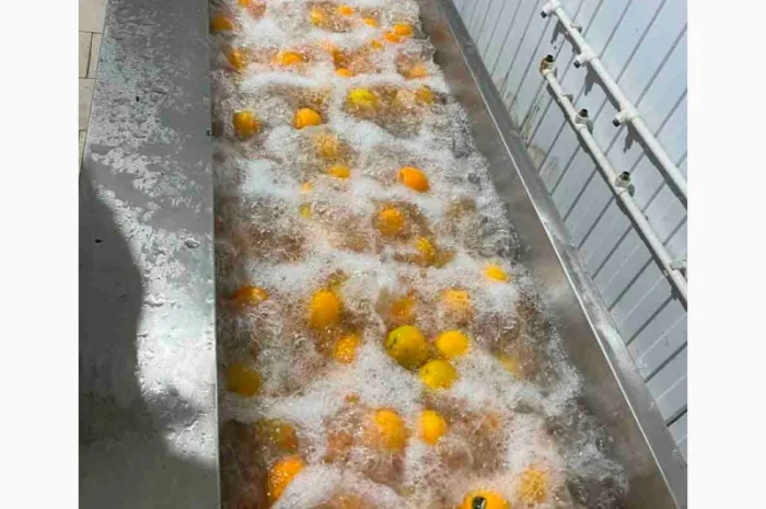 Барботажна ванна для делікатного миття продуктів STvega BW H2400- фото № 11