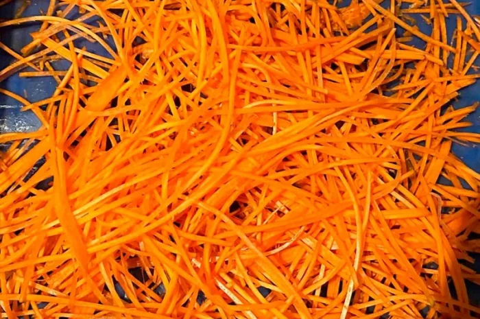 Овочерізка для нарізки соломкою (по-корейськи), слайсами STvega Carrot Shredder 500- фото № 8