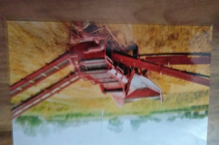 Куплю траспортери до картофелесортировки ксп- фото № 1