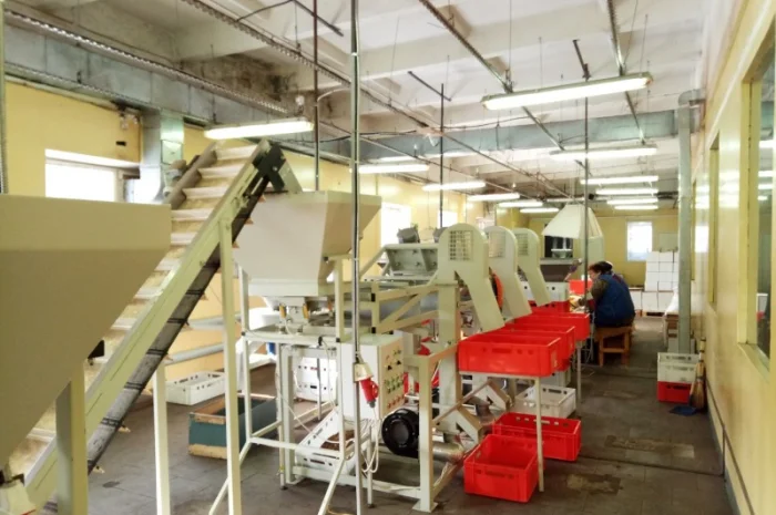 Обладнання по переробці горіхів. Лінія переробки горіхів. Горіхокол- фото № 2