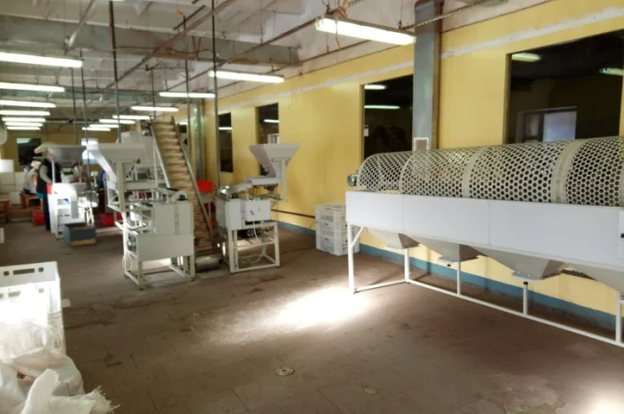 Обладнання по переробці горіхів. Лінія переробки горіхів. Горіхокол- фото № 3