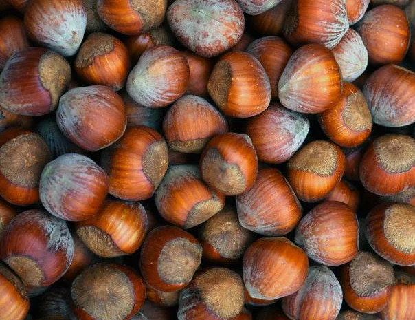 Машина для очистки фундука от плюски- фото № 1