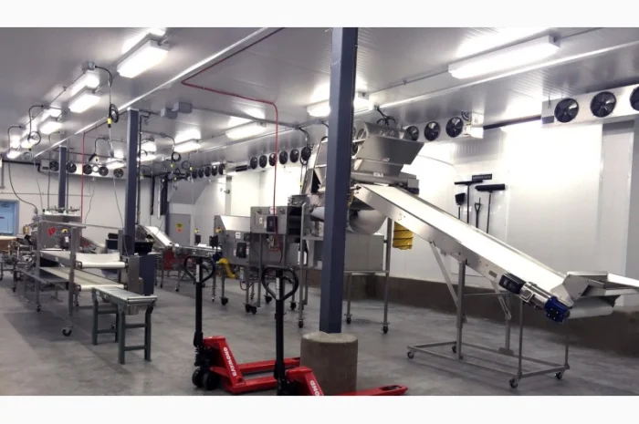 Лінія переробки лохини. Линия пераработки голубики- фото № 2