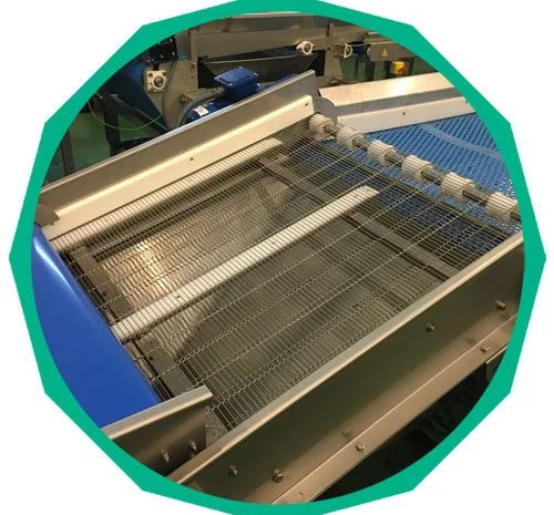 Лінія переробки лохини. Линия пераработки голубики- фото № 3