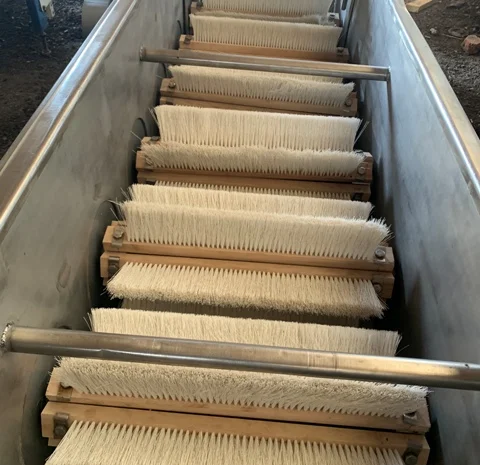 Машина моечная -щеточная- фото № 2