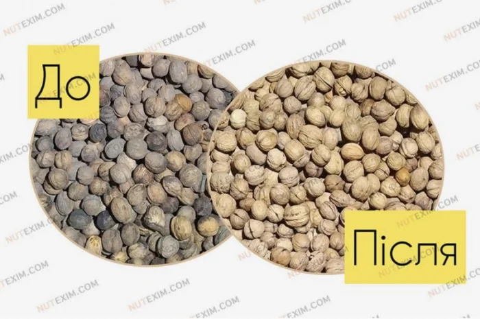 Мийка для горіхів (Полірувальник) 2408- фото № 6