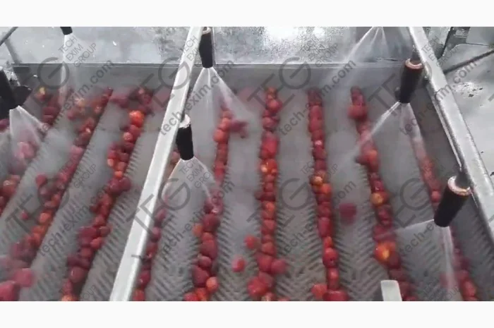 Щіткова миюча машина для ягід, овочів, фруктів і.т.д- фото № 1