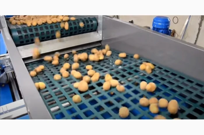 Сетчатый калибровщик для картофеля и овощей- фото № 3