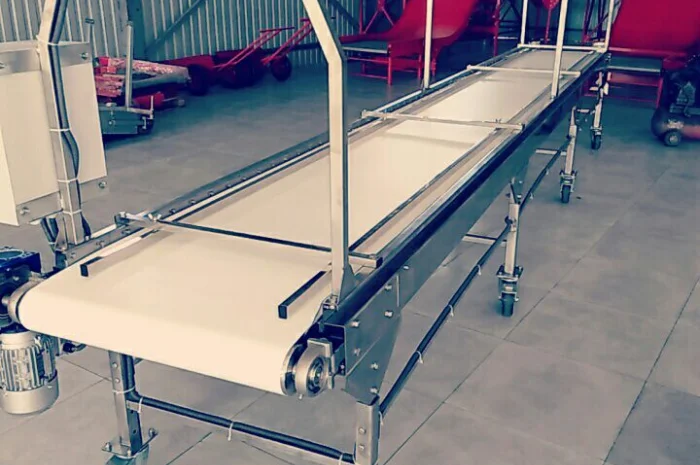 Инспекционный сортировочный конвейер для ягод, фруктов, овощей, грибов- фото № 2