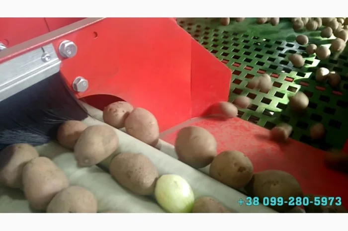 Комплексная линия для заготовки овощей (картофеля, моркови) к продаже и переработке- фото № 3