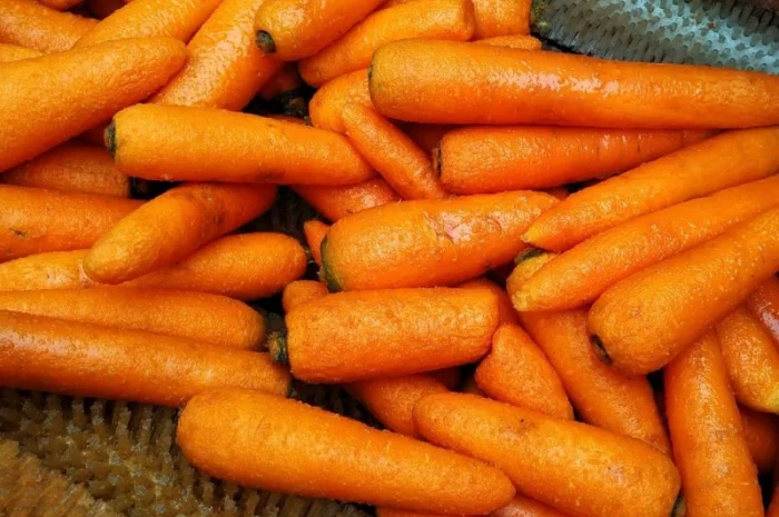 Порционная щеточная мойка для овощей, корнеплодов и орехов 1т/час- фото № 5