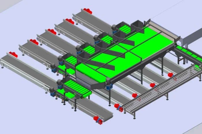 Конвейерная линия фасовки фруктов, овощей, корнеплодов для последующей продажи- фото № 1