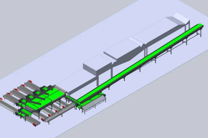 Конвейерная линия фасовки фруктов, овощей, корнеплодов для последующей продажи- фото № 2