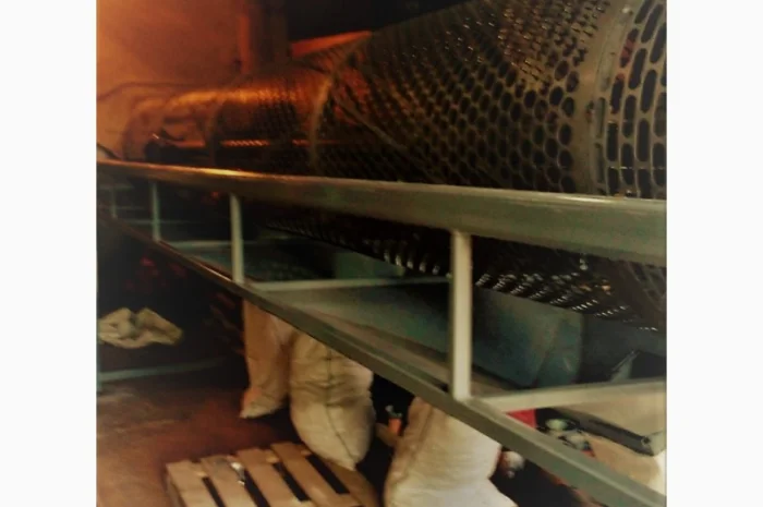 Роторный калибратор для разделения грецкого ореха по размеру- фото № 5