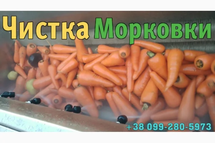 Мийка барабанна для картоплі, моркви та іншої городини, можлива комплектація абразивом- фото № 4