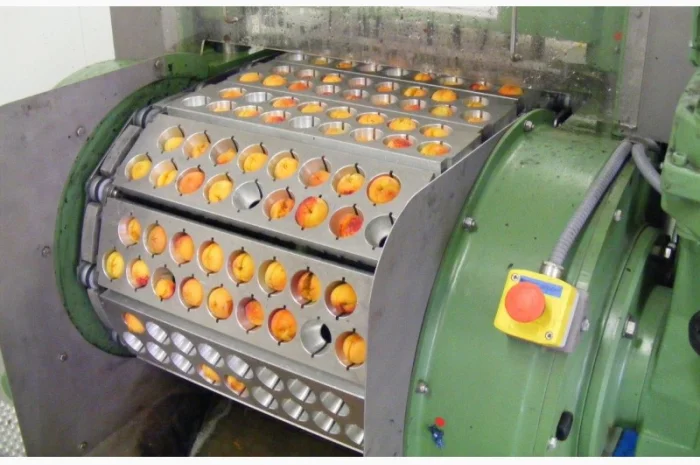 Машина для удаления косточек из вишни, сливы, абрикоса 1000 – 2000 кг/час- фото № 4