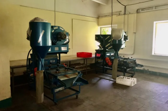 Вибросито с аспирацией для сортировки грецкого ореха (500 кг/ч)- фото № 4