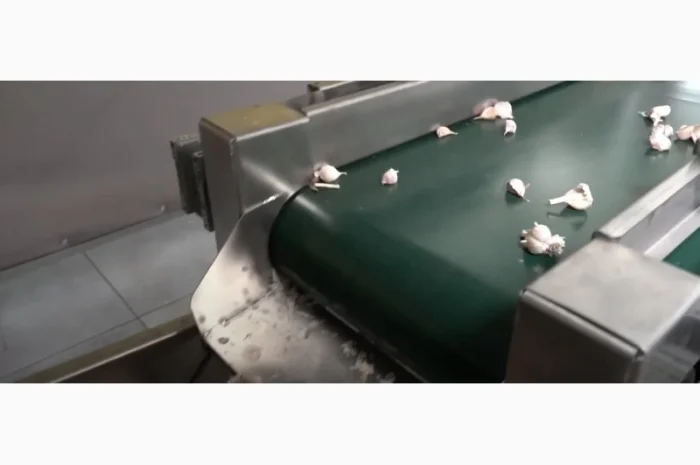 Лущення часнику, чистка часнику, дробління часнику, розділення часнику- фото № 1