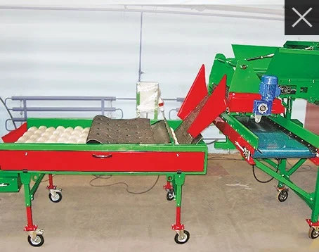 Стіл переборочний роликовий СПР-10 (можливий лізинг)- фото № 10