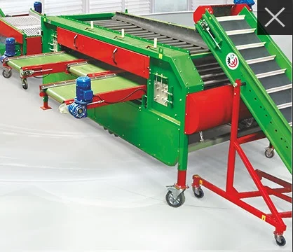 Стіл переборочний роликовий СПР-10 (можливий лізинг)- фото № 4