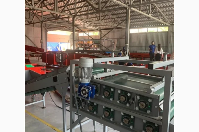 Машинка для дробления чеснока- фото № 2