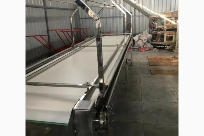 Конвейер для сортировки ягод- фото № 3