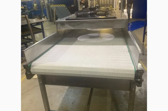 Конвейер для сортировки ягод- фото № 1