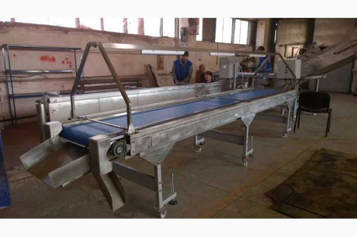Конвейер инспекционный для переборки орехов- фото № 1