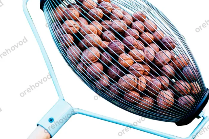 Рол-горіхозбірник для збору волоського горіха- фото № 1