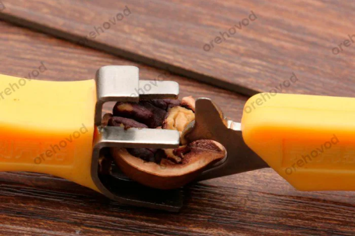 Набір для розбору волоського горіха- фото № 4