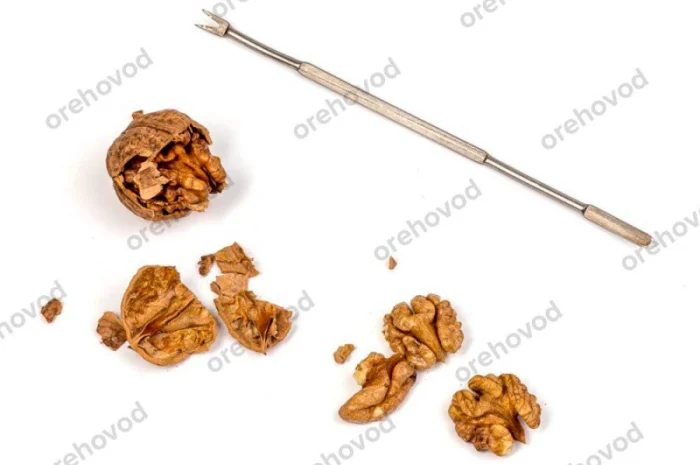 Інструмент для вилучення ядра горіха- фото № 3