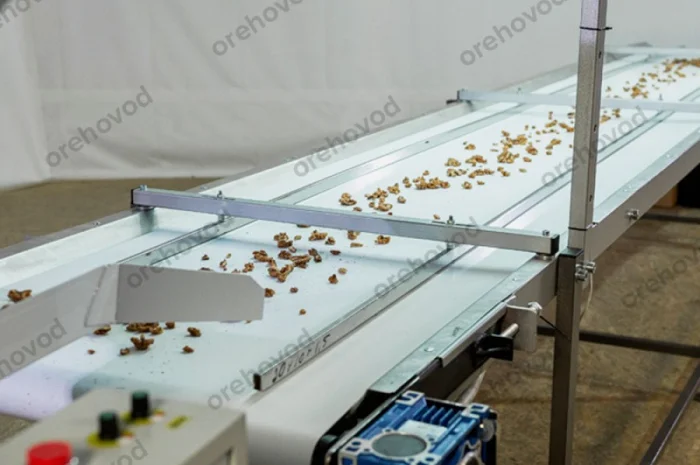 Інспекційний стіл для сортування волоського горіха- фото № 5