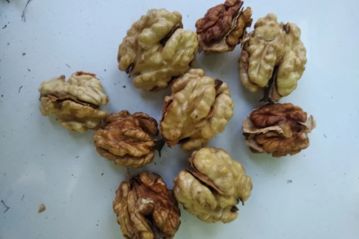 Орехокол стальной полупромышленный(прибор для чистки орехов)- фото № 10