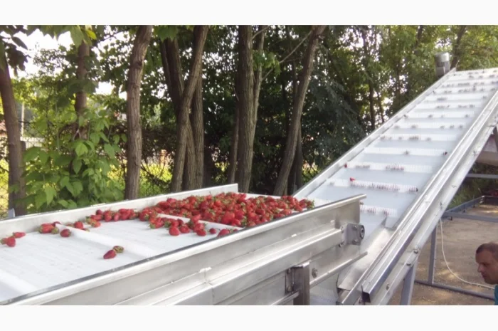 Оборудование для переработки овощей и ягод- фото № 2