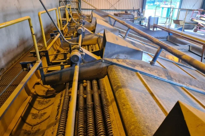 Прийомна лінія для картоплі та цибулі- фото № 4