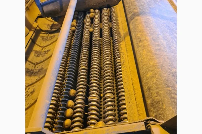 Прийомна лінія для картоплі та цибулі- фото № 3