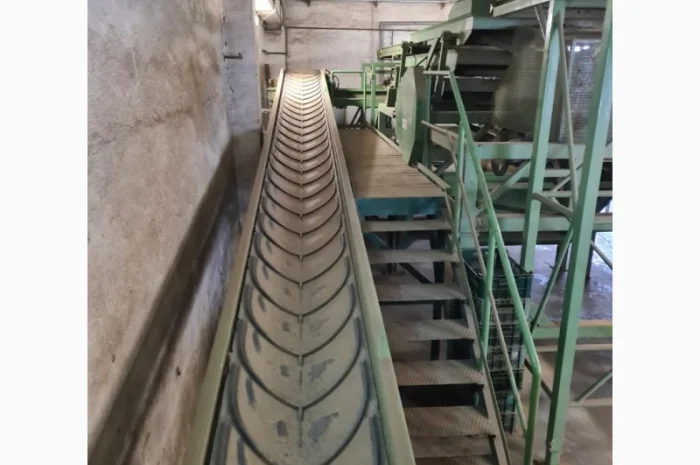 Прийомна лінія для картоплі та цибулі- фото № 18