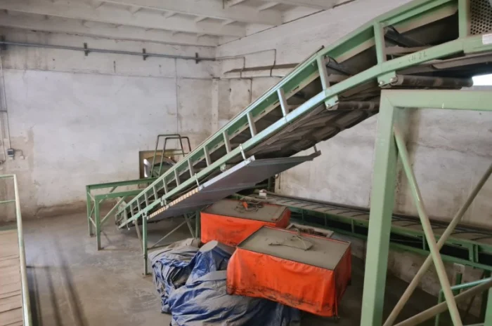 Прийомна лінія для картоплі та цибулі- фото № 17