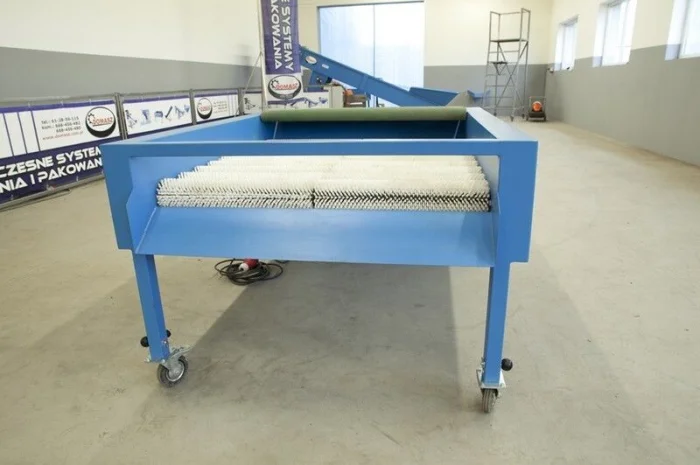 Сортировочная машина DOMASZ Суха чистка для картоплі CS-110 - GRIMME, KMK, EURO-JABEL- фото № 4