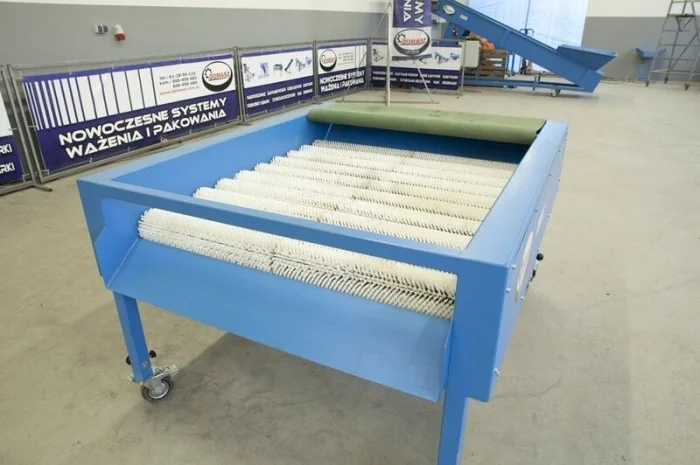 Сортировочная машина DOMASZ Суха чистка для картоплі CS-110 - GRIMME, KMK, EURO-JABEL- фото № 6
