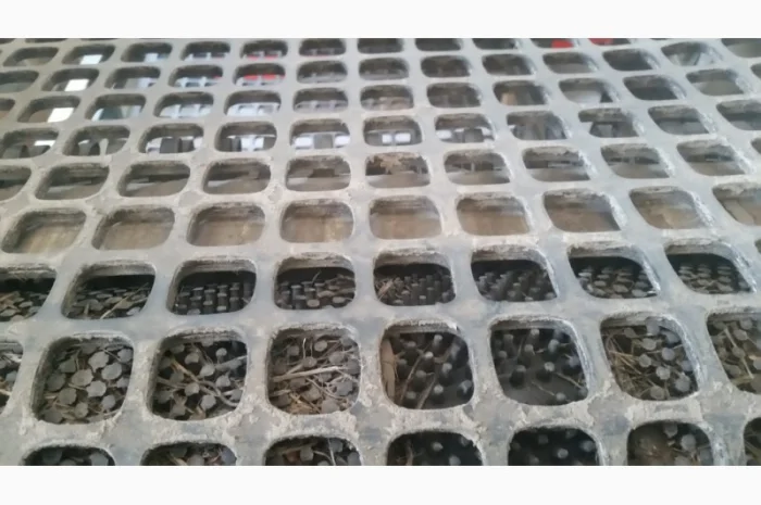 Машина сортувальна Miedema WSU 90- фото № 5