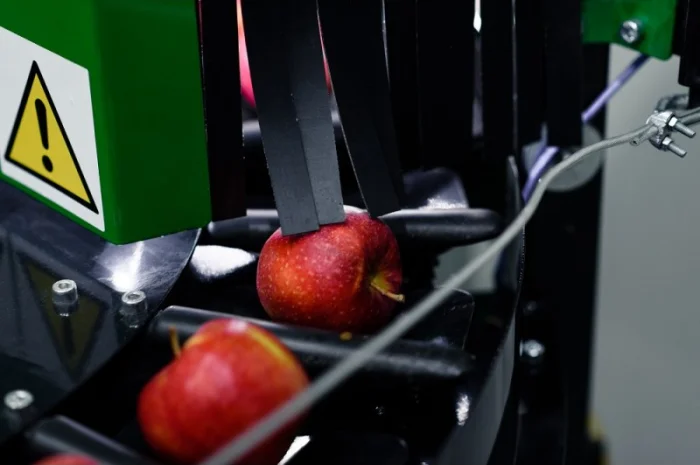 Компактная сортировочная линия для яблок с камерой- фото № 3