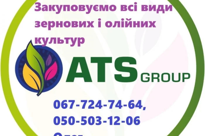 Сорго червоне дорого- фото № 3