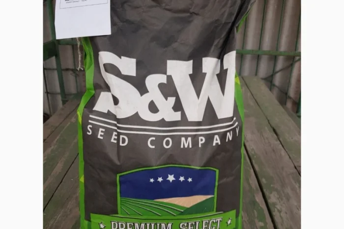 Зернове сорго Зуні на продаж- фото № 1