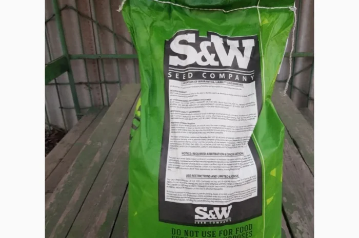 Зернове сорго Зуні, 65-80 днів- фото № 2