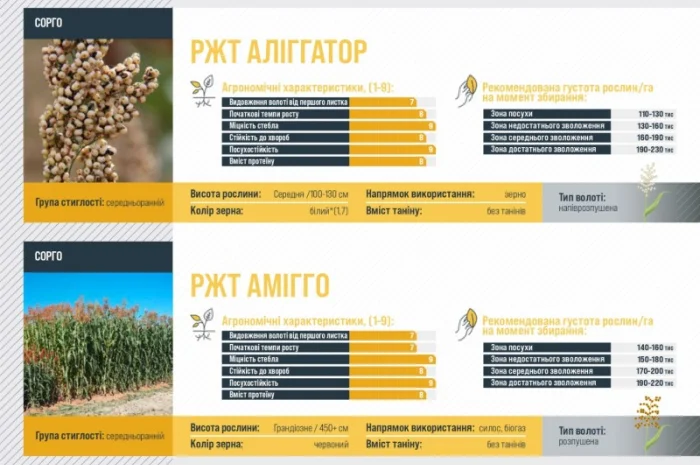 Насіння сорго АЛІГГАТОР RAGT- фото № 1