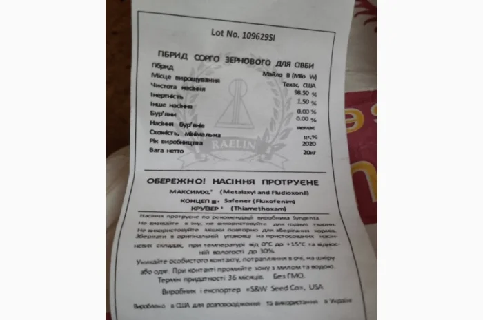 Сорго Ютамі ( Yutami) - гібрид зернового сорго- фото № 2