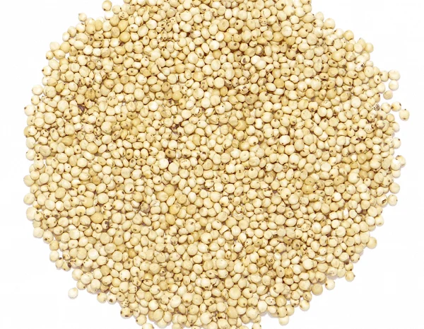 Закупка сорго белого и красного- фото № 1