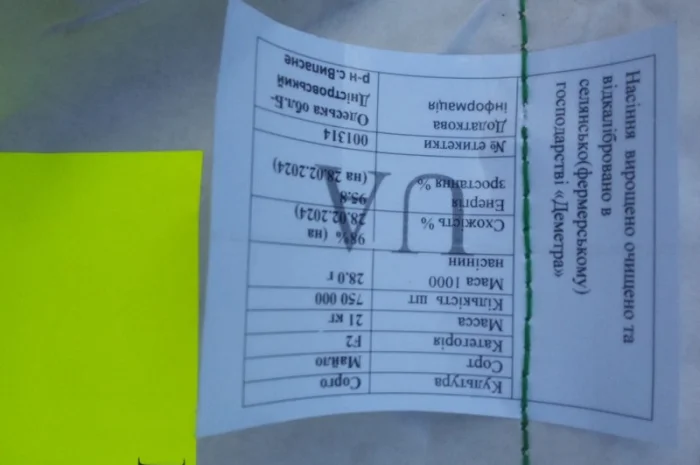 Продам насіння сорго " майло" "зуні"- фото № 2